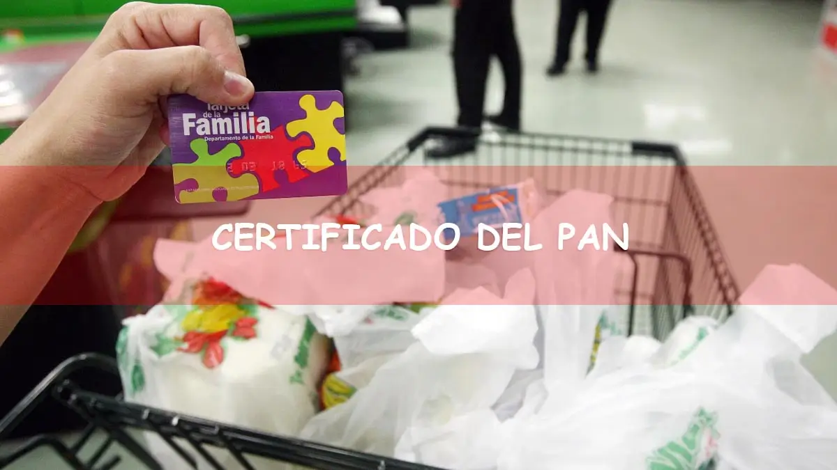 Solicitar certificado de PAN en Puerto Rico