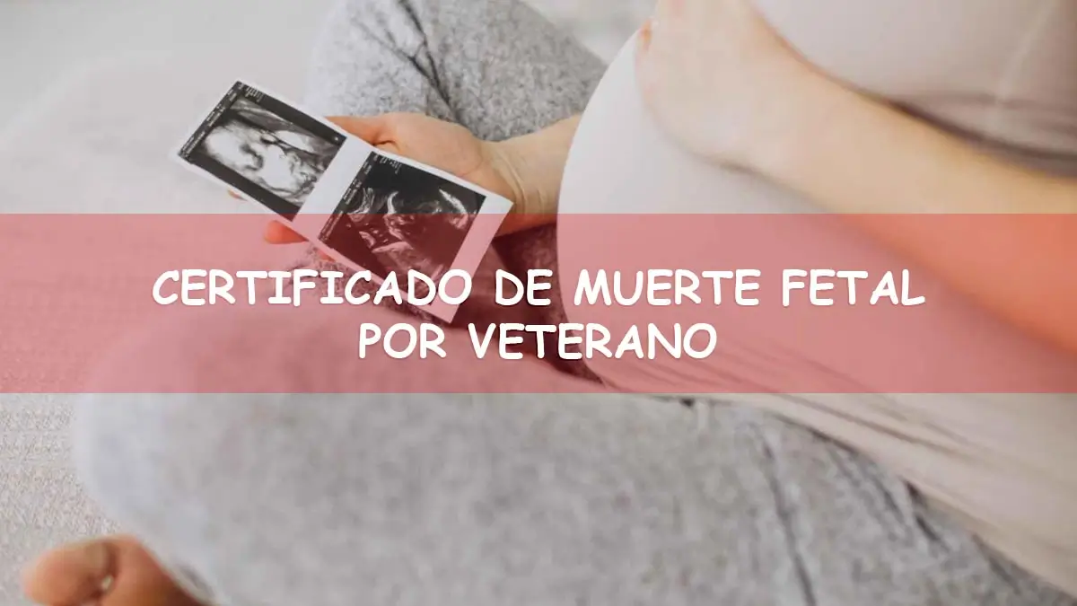 Obtener certificado de muerte fetal por veterano en Puerto Rico