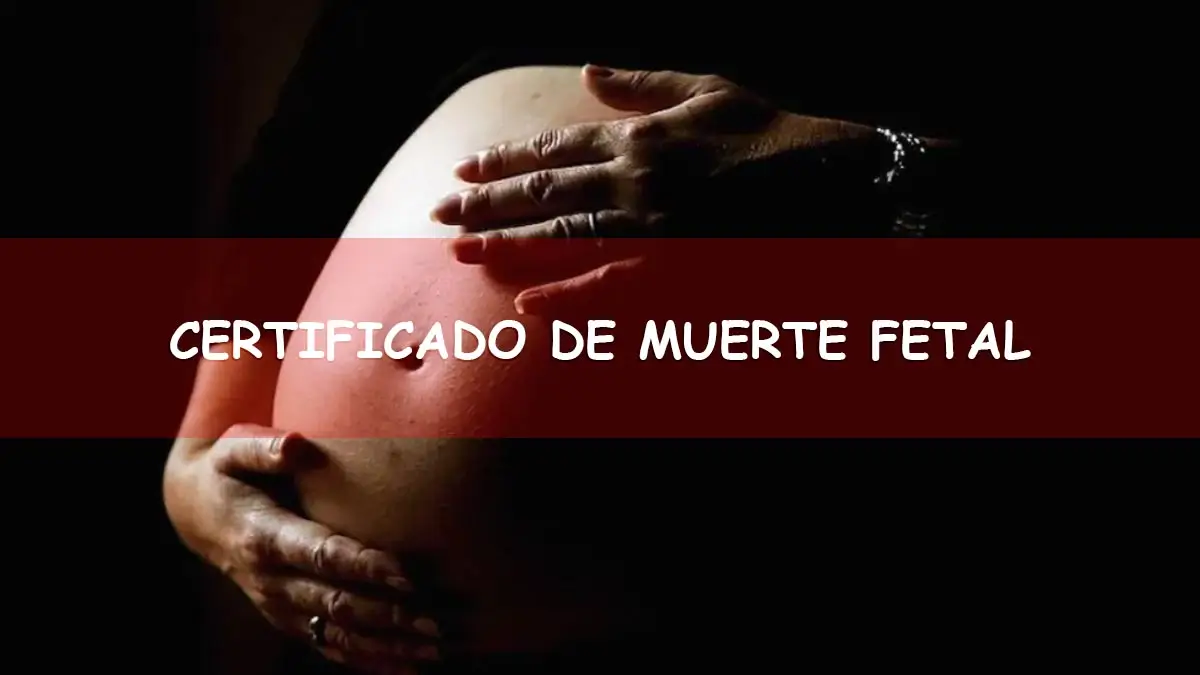 Sacar certificado de muerte fetal en Puerto Rico