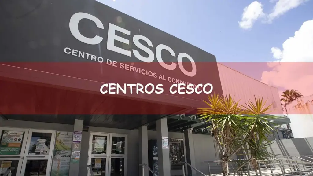 Centro CESCO para tramitar licencia de conducir