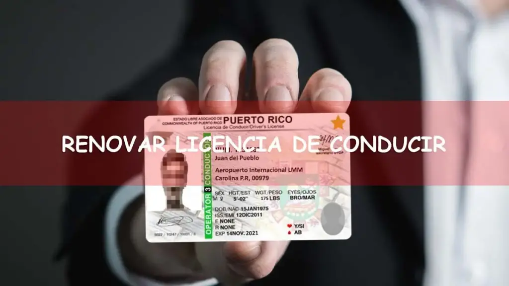 Licencia de conducir renovación