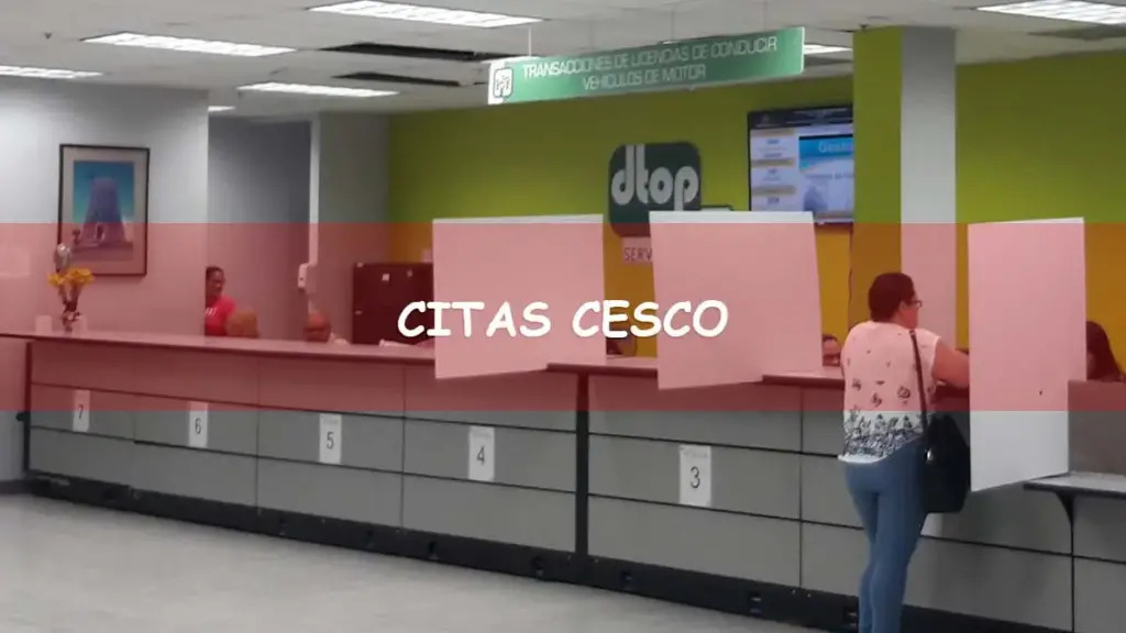 Solicitar cita en CESCO para tramitar licencia de conducir en Puerto Rico