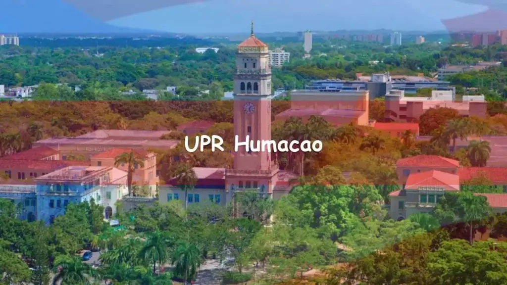 Universidad pública UPR Humacao